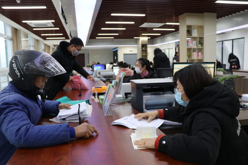 南莫镇为民服务中心正式启用 科技赋能打造高效便民新体验