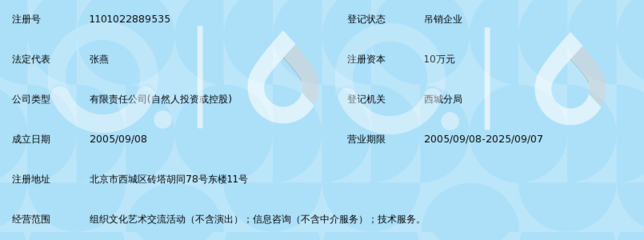 北京盛世文博文化发展有限公司信息技术咨询服务解析